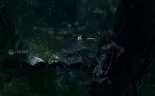 wk_screen - shadow of the tomb raider (51).jpg